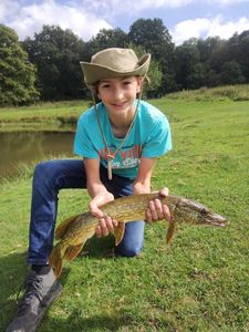 Northern Pike