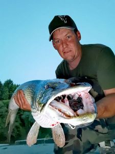 Northern Pike