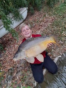Mirror Carp