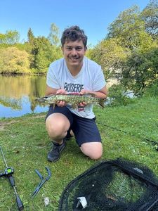Northern Pike