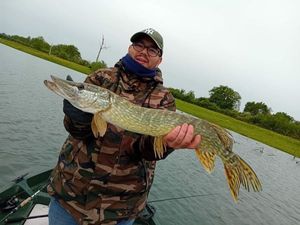 Northern Pike