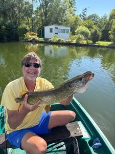Northern Pike