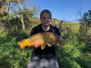 Common Carp