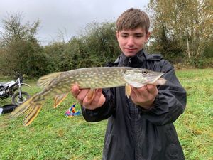 Northern Pike