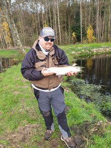 Rainbow Trout