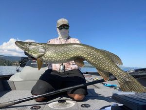 Northern Pike