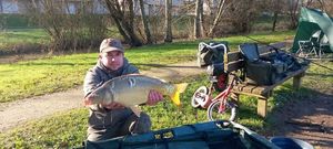 Mirror Carp