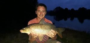 Common Carp