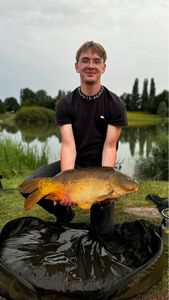 Mirror Carp