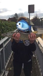 Northern Pike