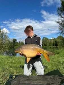 Mirror Carp
