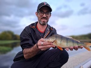 European Perch