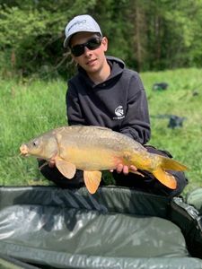 Common Carp
