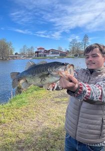 Achigan à Petite Bouche (Black-Bass)