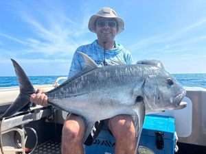 Giant Trevally (GT)