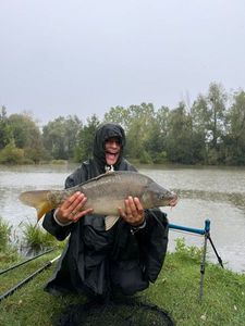 Mirror Carp