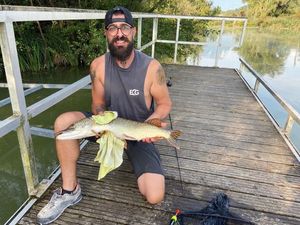 Northern Pike