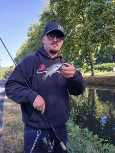 Largemouth Bass