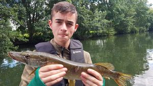 Northern Pike