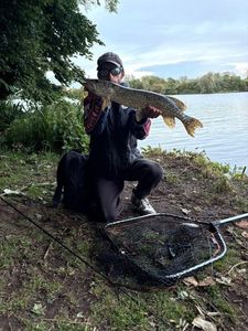 Northern Pike