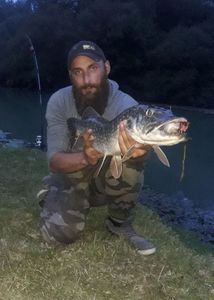 Northern Pike