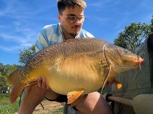 Mirror Carp