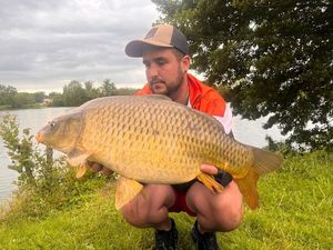 Common Carp