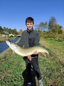 Northern Pike