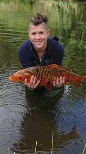 Koï Fish