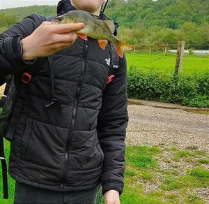 European Perch
