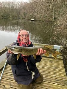 Northern Pike