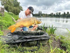 Mirror Carp