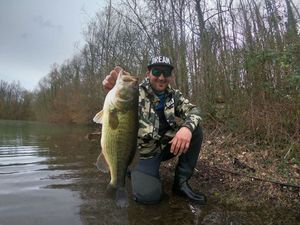 Largemouth Bass