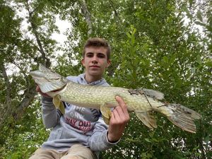 Northern Pike