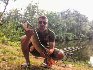 Northern Pike