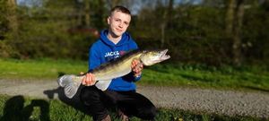 Zander