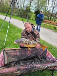 Mirror Carp