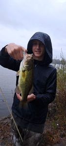 Largemouth Bass