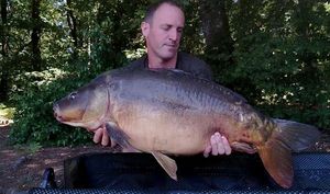 Mirror Carp