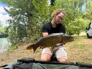 Common Carp