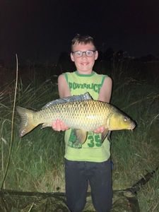 Common Carp