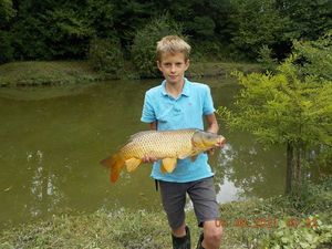 Common Carp