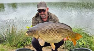 Common Carp