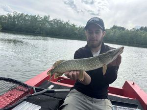 Northern Pike