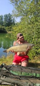 Grass Carp