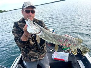 Northern Pike
