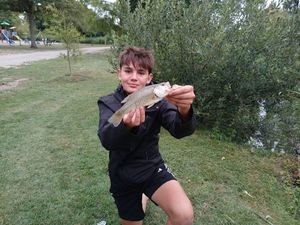Largemouth Bass