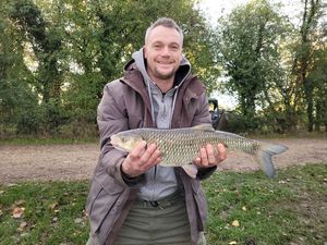 Common Carp