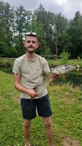 Northern Pike
