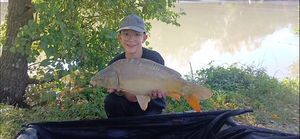 Mirror Carp